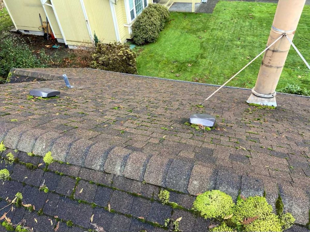 Photo of a Dirty Roof